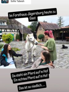 Ein Pferd im Biergarten vom Forsthaus Jägersburg Einhausen